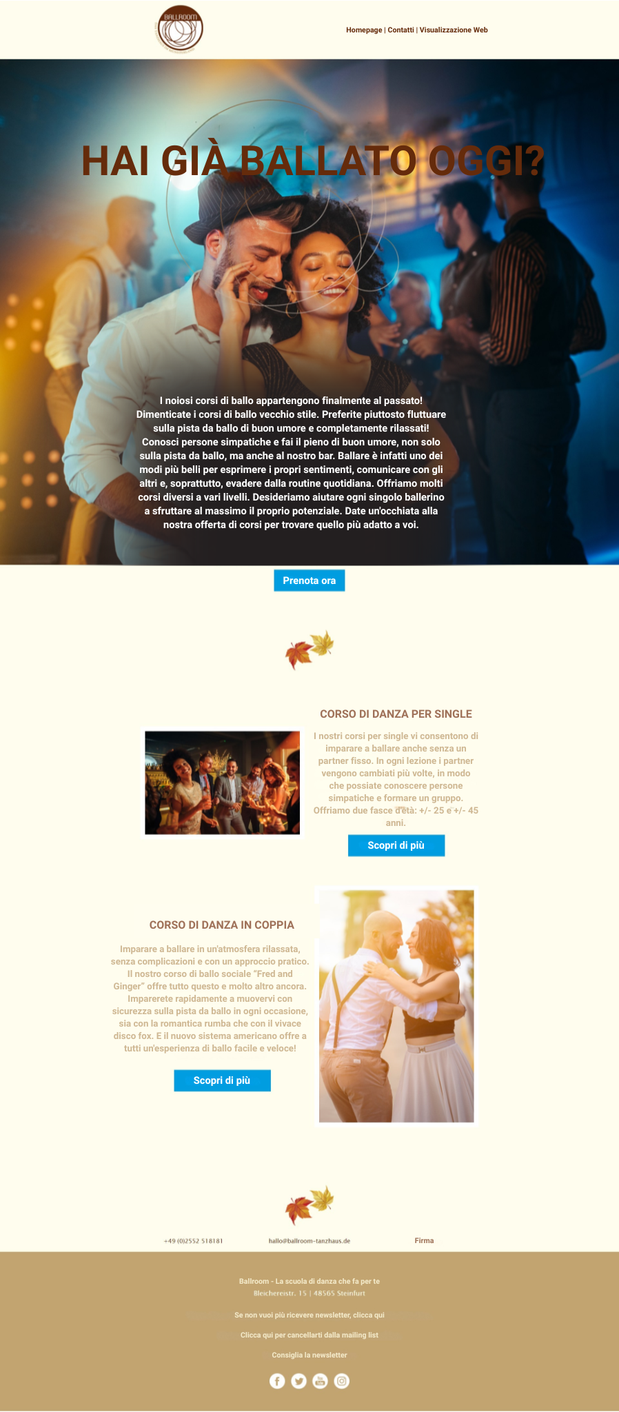 Esempio di newsletter fatta per la festa dei single tramite rapidmail da una scuola di danza